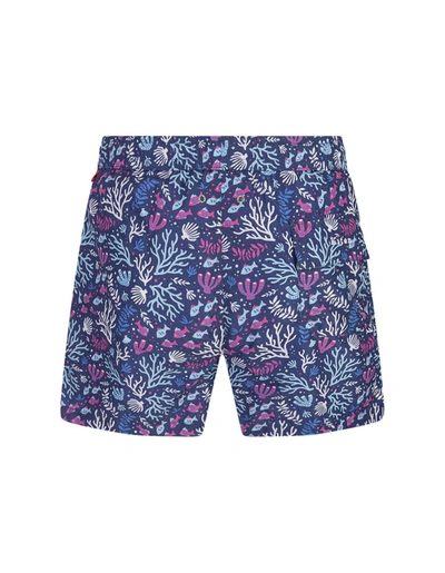 Shop Kiton Swim Shorts With Fish And Coral Pattern In Blue