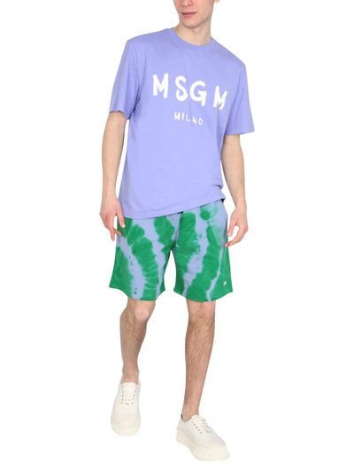 Shop Msgm Sweat Shorts In Green