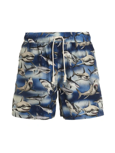 Shop Palm Angels 'sharks' Swimming Trunks In Blue