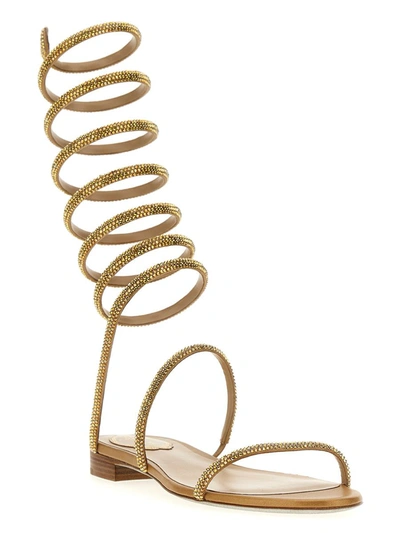 Shop René Caovilla 'supercleo' Sandals In Gold