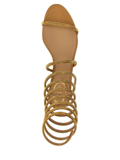 Shop René Caovilla 'supercleo' Sandals In Gold