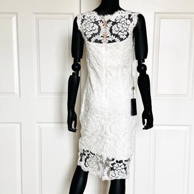 Pre-owned Tadashi Shoji Sequin Lace Cocktail Dress Embroidery Sheath Ivory Size 6 In White