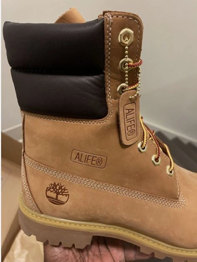 Pre-owned Timberland Alife 7.5 Boot 40 Below Super Boot Hazel Highway All Sizes In Brown