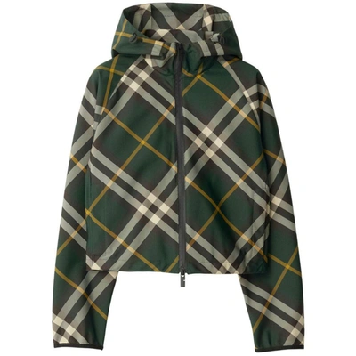 Shop Burberry Outerwears In Green/neutrals