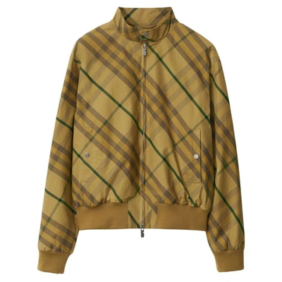 Shop Burberry Outerwears In Yellow
