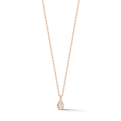 Shop Dana Rebecca Designs Sophia Ryan Petite Teardrop Necklace In Rose Gold