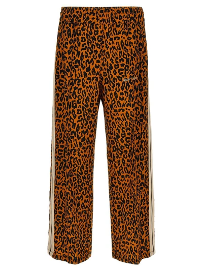 Shop Palm Angels 'cheetah Track' Joggers In Multicolor