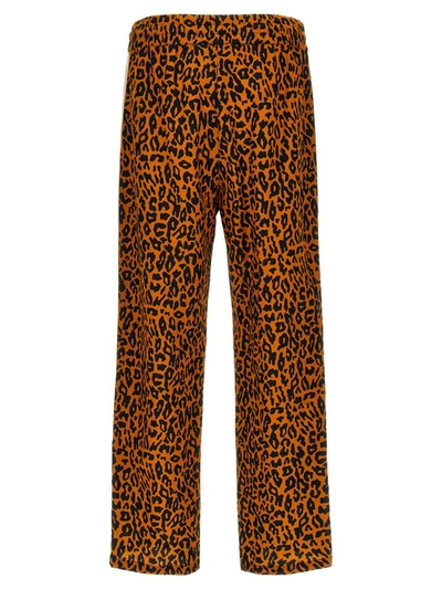 Shop Palm Angels 'cheetah Track' Joggers In Multicolor