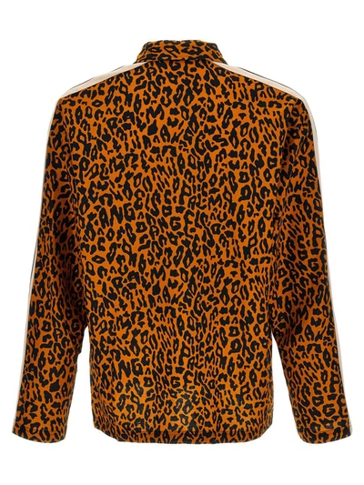 Palm Angels Cheetah Track Shirt And Blouse Multicolor In Multicolor
