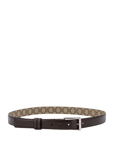 Shop Gucci Belts In Brown