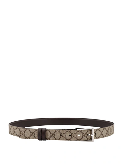 Shop Gucci Belts In Brown