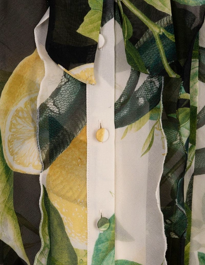 Shop Roberto Cavalli Ivory Shirt With Lemons Print In White