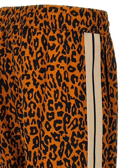 Shop Palm Angels Cheetah Track Pants Multicolor