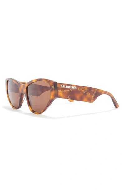 Shop Balenciaga 54mm Cat Eye Sunglasses In Havana Brown