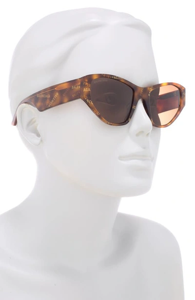 Shop Balenciaga 54mm Cat Eye Sunglasses In Havana Brown