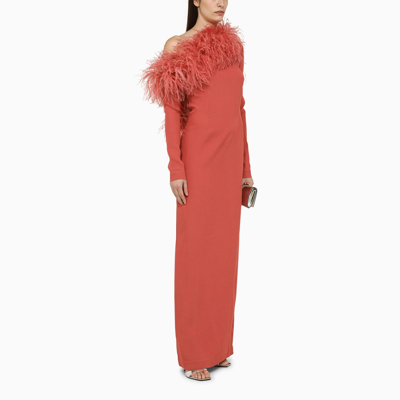 Shop Taller Marmo Peony Coloured Long Dress With Feathers