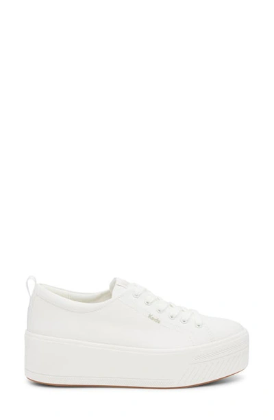 Shop Keds Sklyer Platform Sneaker In White Canvas