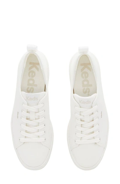 Shop Keds Sklyer Platform Sneaker In White Canvas