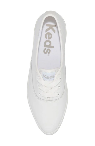 Shop Keds Point Leather Sneaker In White Leather