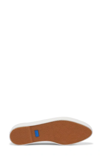 Keds Point 3 Platform Sneaker In White Leather