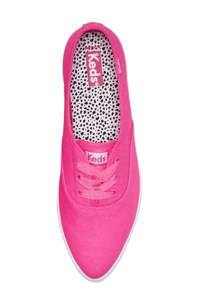 Shop Keds Point Canvas Sneaker In Bright Pink Canvas