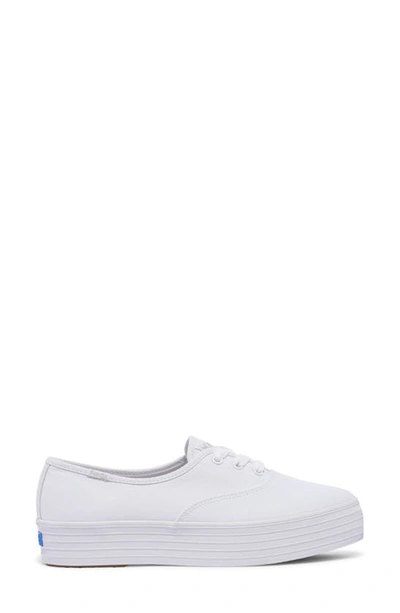 Keds Point Platform Sneaker In White Canvas