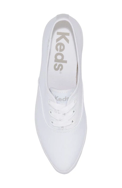 Keds Point Platform Sneaker In White Canvas
