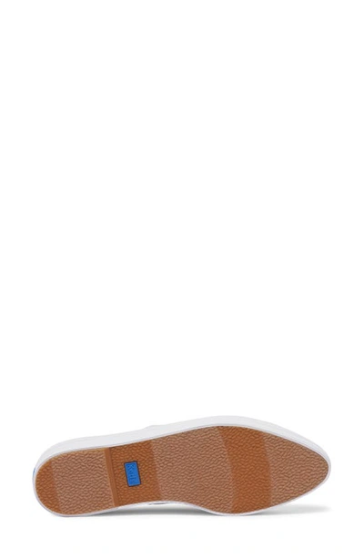 Keds Point Platform Sneaker In White Canvas
