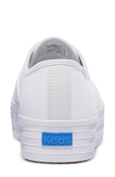 Keds Point Platform Sneaker In White Canvas
