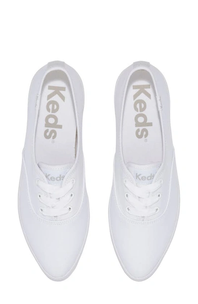 Keds Point Platform Sneaker In White Canvas