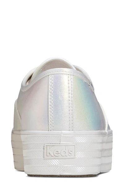 Shop Keds Point Canvas Sneaker In White Canvas