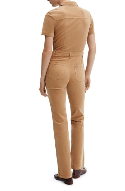 Shop Mango Stretch Corduroy Zip Jumpsuit In Medium Brown