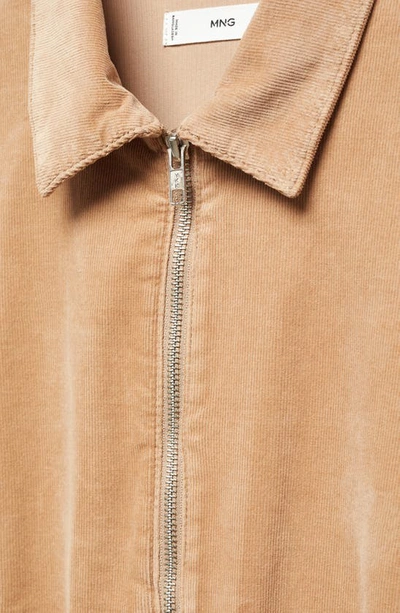 Shop Mango Stretch Corduroy Zip Jumpsuit In Medium Brown