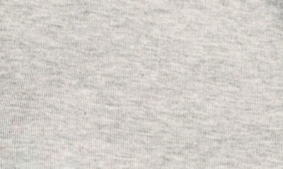 Splendid Crewneck T-shirt In Heather Grey