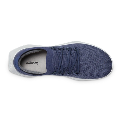 Shop Allbirds Men's Tree Dasher 2 In Hazy Indigo