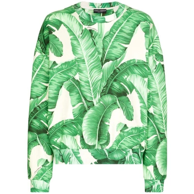 Dolce & Gabbana Round-neck Sweatshirt With Banana Tree Print In Green/neutrals