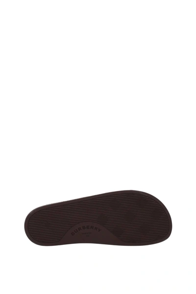 Shop Burberry Slippers And Clogs Rubber Brown Birch