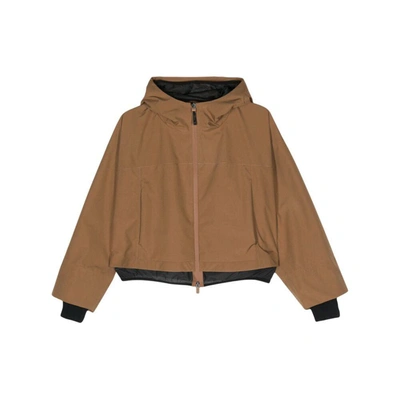Shop Herno Outerwears In Brown