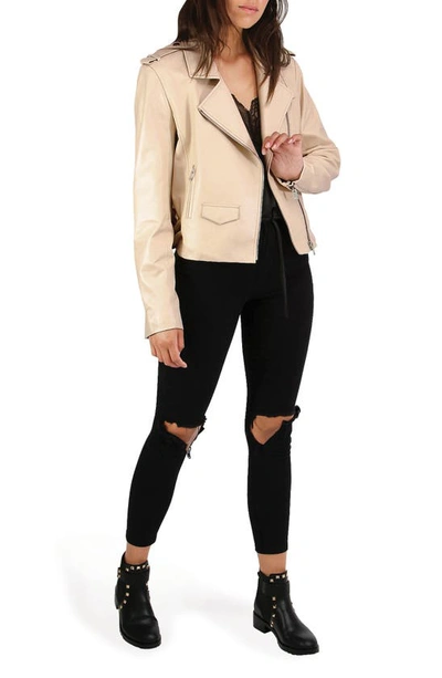 Belle & Bloom Just Friends Leather Crop Moto Jacket In Sand
