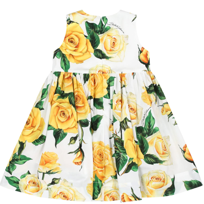 Shop Dolce & Gabbana White Elegant Dress For Baby Girl With Flowering Pattern