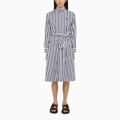 Shop Polo Ralph Lauren Navy Blue/white Striped Cotton Shirt Dress