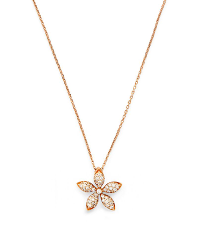 Shop Bee Goddess Rose Gold And Diamond Apple Seed Necklace