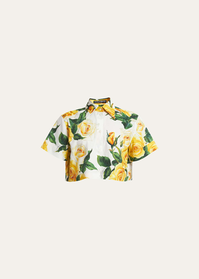 Shop Dolce & Gabbana Yellow Rose Floral Cropped Button-front Shirt In White Prt