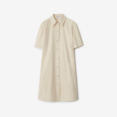 Shop Burberry Cotton Blend Shirt Dress In Calico