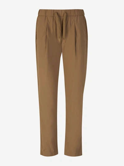 Shop Herno Plain Technical Joggers In Taupe