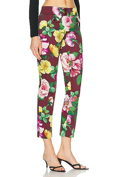Shop Dolce & Gabbana Floral Pant In Camelia