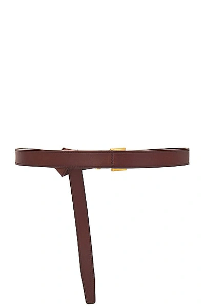 Saint Laurent Skinny Cassandre Long Belt In Dark Brown Chocolate & Brown Chocolate