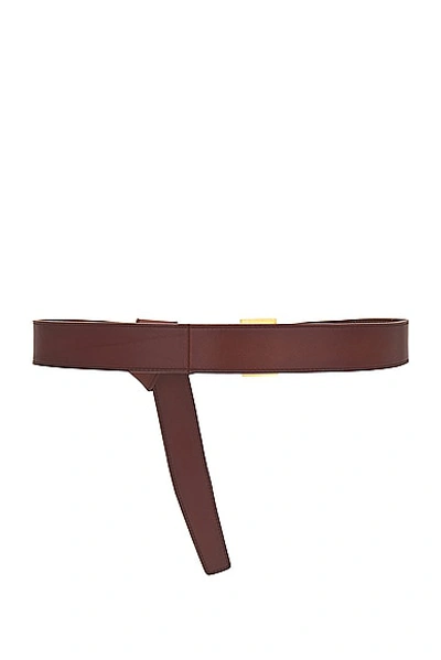 Saint Laurent Cassandre Long Belt In Dark Brown Chocolate & Brown Chocolate