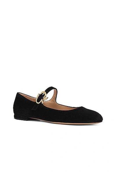 Shop Gianvito Rossi Mary Ribbon Flats In Black