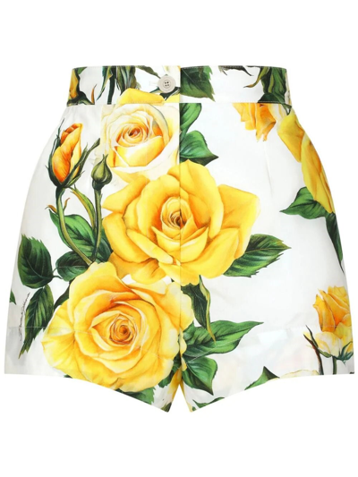 Shop Dolce & Gabbana Floral Print Shorts In Yellow